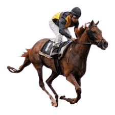 Royal Derby